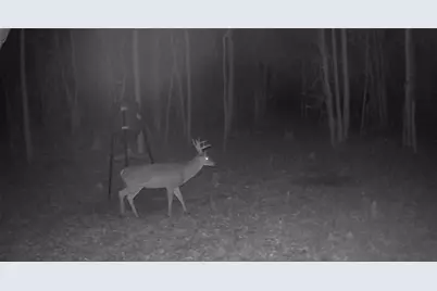 0 Hutcheson Road, Temple, GA 30179 - Photo 36