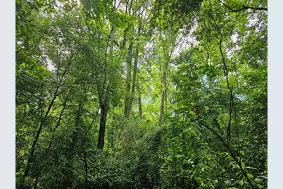 0 Hutcheson Road, Temple, GA 30179 - Photo 6