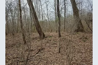 0 Hutcheson Road, Temple, GA 30179 - Photo 28