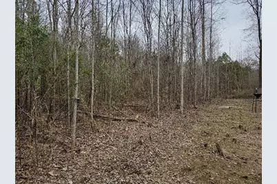 0 Hutcheson Road, Temple, GA 30179 - Photo 30