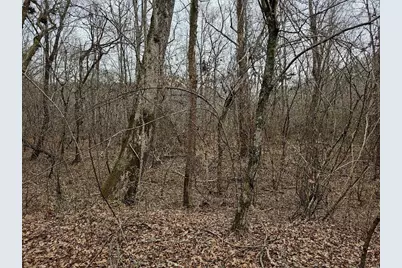 0 Hutcheson Road, Temple, GA 30179 - Photo 26