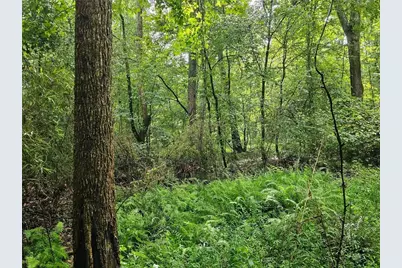 0 Hutcheson Road, Temple, GA 30179 - Photo 8