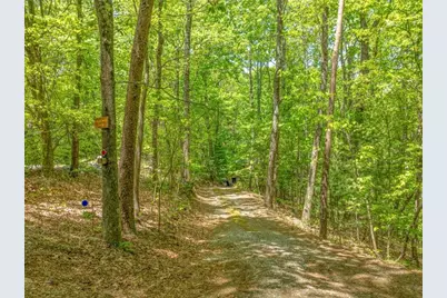 7 Ascherman Court, Blue Ridge, GA 30513 - Photo 24