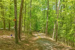 7 Ascherman Court, Blue Ridge, GA 30513 - Photo 24