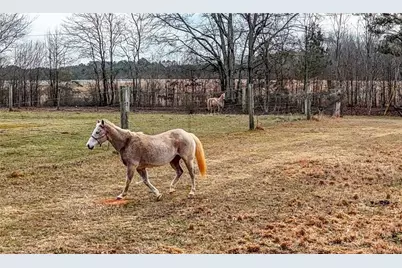 298 Trestle Road, Locust Grove, GA 30248 - Photo 32