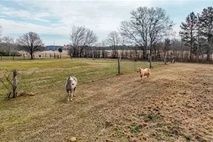 298 Trestle Rd, Locust Grove, GA 30248 - Photo 38