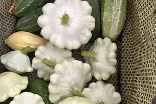 214 Horseshoe Cir, Rockmart, GA 30153 - Photo 50