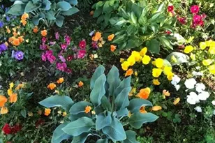 214 Horseshoe Cir, Rockmart, GA 30153 - Photo 38