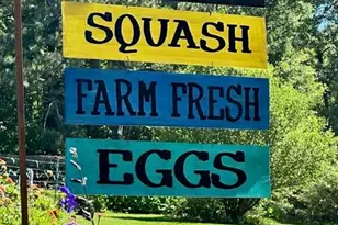 214 Horseshoe Cir, Rockmart, GA 30153 - Photo 48