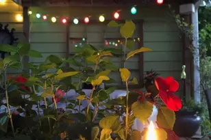 214 Horseshoe Cir, Rockmart, GA 30153 - Photo 36