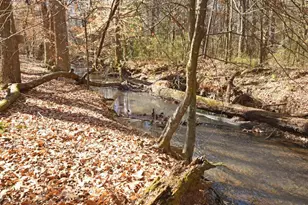 2440 Cedar Fork Trail, Marietta, GA 30062 - Photo 50