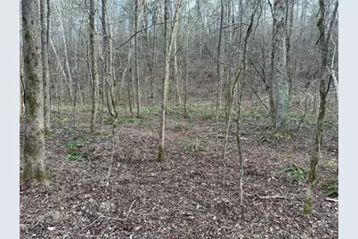 0 John Rucker Road, Elberton, GA 30635 - Photo 18