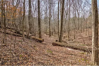 874 Town Creek Church Road, Talking Rock, GA 30175 - Photo 72