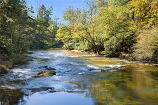 505 River Ridge Rd, Clarkesville, GA 30523 - Photo 28