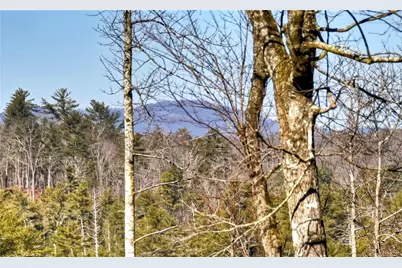 1312 Hicks Ford Road, Ellijay, GA 30540 - Photo 6