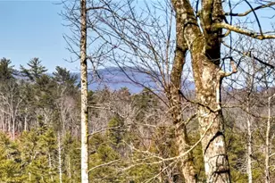 1312 Hicks Frd Rd, Ellijay, GA 30540 - Photo 6