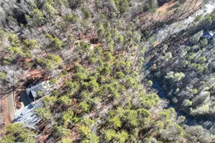 1312 Hicks Frd Rd, Ellijay, GA 30540 - Photo 66