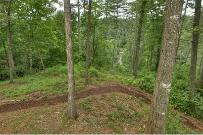 1312 Hicks Ford Road, Ellijay, GA 30540 - Photo 4