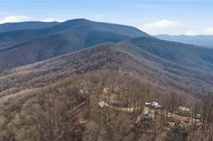 1665 Walnut Ridge, Ellijay, GA 30536 - Photo 46