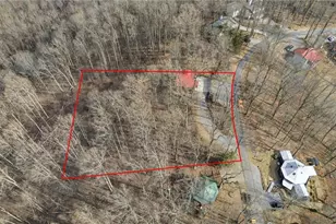 1665 Walnut Ridge, Ellijay, GA 30536 - Photo 48