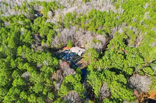 259 Gramling Trail, Canton, GA 30114 - Photo 48