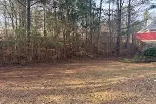 50 Blue Grass Way, Oxford, GA 30054 - Photo 26