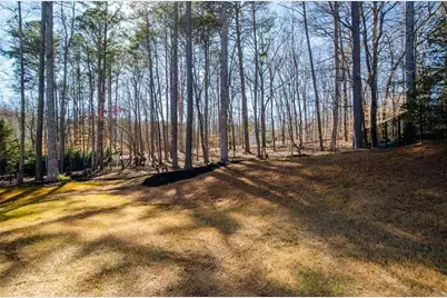 778 Crescent Circle, Canton, GA 30115 - Photo 60