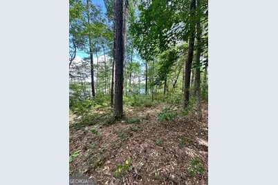 0 W Highway 34 W, Newnan, GA 30263 - Photo 1