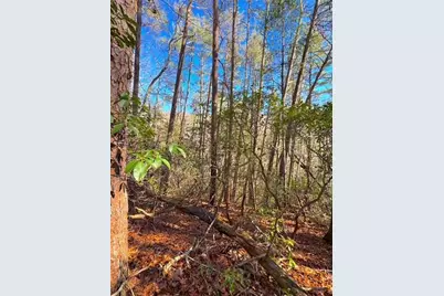 00 Horse Cove Court, Jasper, GA 30143 - Photo 18