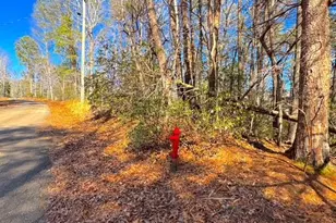 00 Horse Cove Ct, Jasper, GA 30143 - Photo 1