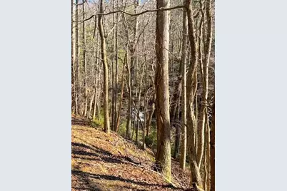 00 Horse Cove Court, Jasper, GA 30143 - Photo 4