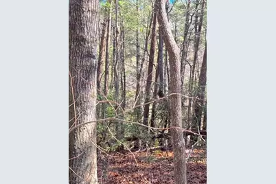 00 Horse Cove Court, Jasper, GA 30143 - Photo 10