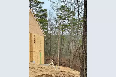 149 White Antelope Street, Waleska, GA 30183 - Photo 4