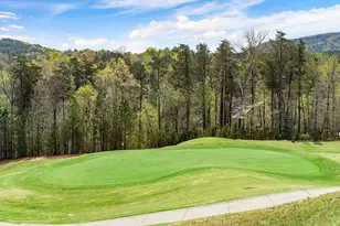 149 White Antelope St, Waleska, GA 30183 - Photo 14