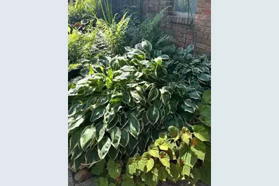 3137 Beechwood Drive, Lithia Springs, GA 30122 - Photo 56