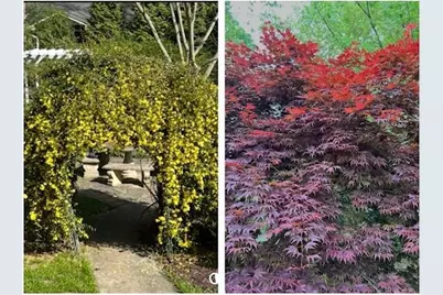 3137 Beechwood Drive, Lithia Springs, GA 30122 - Photo 60