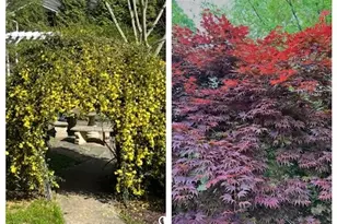 3137 Beechwood Dr, Lithia Springs, GA 30122 - Photo 60