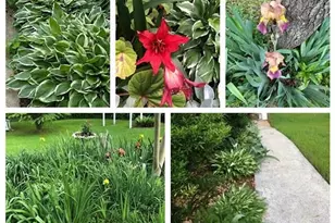 3137 Beechwood Dr, Lithia Springs, GA 30122 - Photo 62