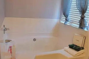 1620 Amelia Ct, Hampton, GA 30228 - Photo 10