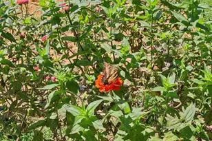 250 Stagecoach Rd, Oxford, GA 30054 - Photo 54