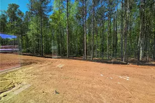 253 Meadows Dr, Bethlehem, GA 30620 - Photo 20