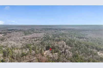 1470 Ben Davis Road, Buchanan, GA 30113 - Photo 46