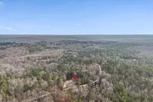 1470 Ben Davis Rd, Buchanan, GA 30113 - Photo 46