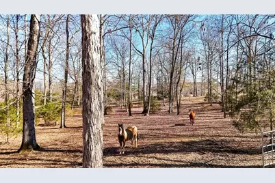 5981 Blacks Bluff Road, Cave Spring, GA 30124 - Photo 28