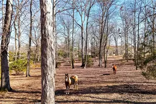 5981 Blacks Bluff Rd, Cave Spring, GA 30124 - Photo 28