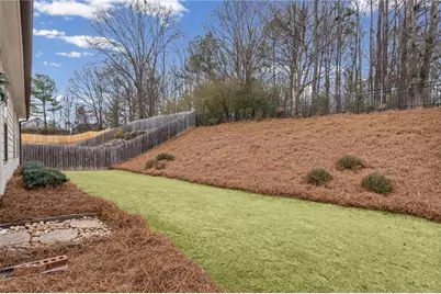 14 Frost Cove, Hoschton, GA 30548 - Photo 40