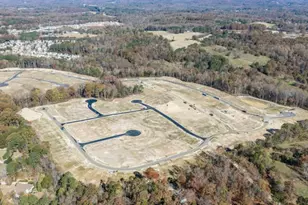 1365 Lincoln Ln, Braselton, GA 30517 - Photo 30