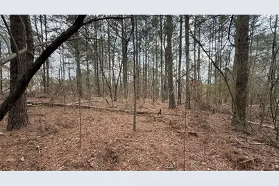 9127 E Carroll Road, Winston, GA 30187 - Photo 4