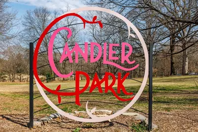 376 Mell Avenue NE, Atlanta, GA 30307 - Photo 46