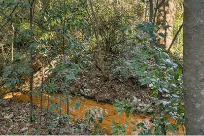 1810 Fairoaks Place, Decatur, GA 30033 - Photo 48